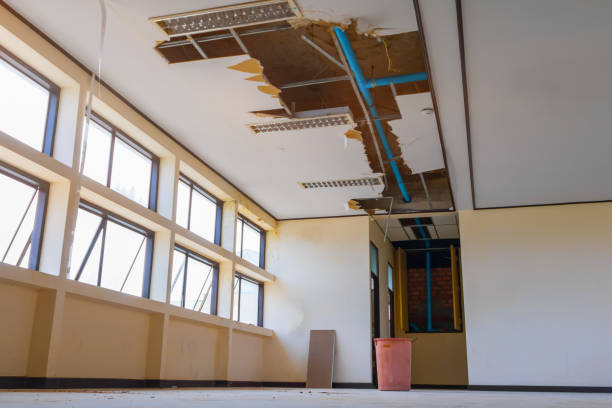 Best Flood restoration services  in Fairmont, IL