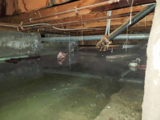 Best Sewage cleanup and water damage restoration  in Fairmont, IL
