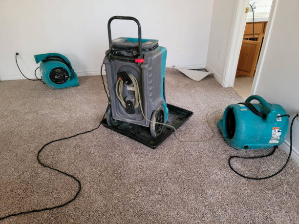 Best Sewage cleanup and water damage restoration  in Fairmont, IL