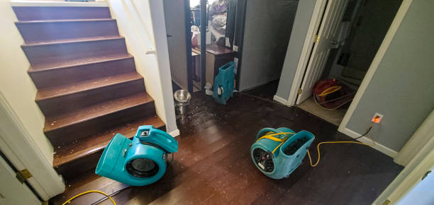 Best Water damage cleanup near me  in Fairmont, IL