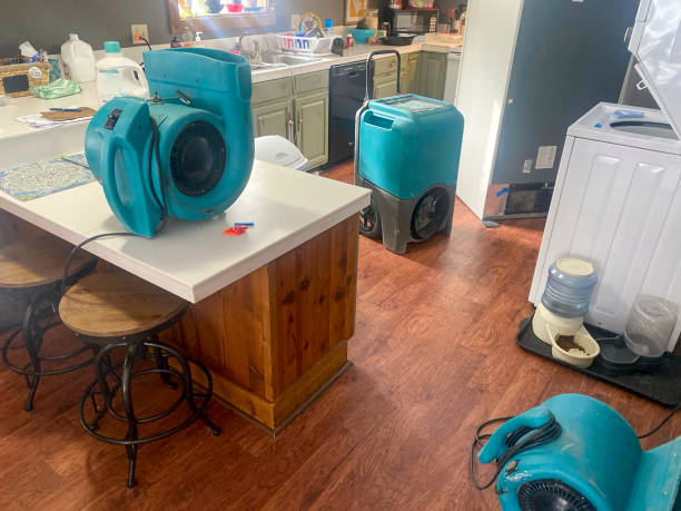 Best Emergency water damage restoration  in Fairmont, IL