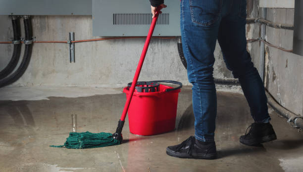 Best Local water damage restoration  in Fairmont, IL