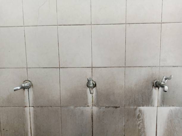 Best Water damage contractors near me  in Fairmont, IL
