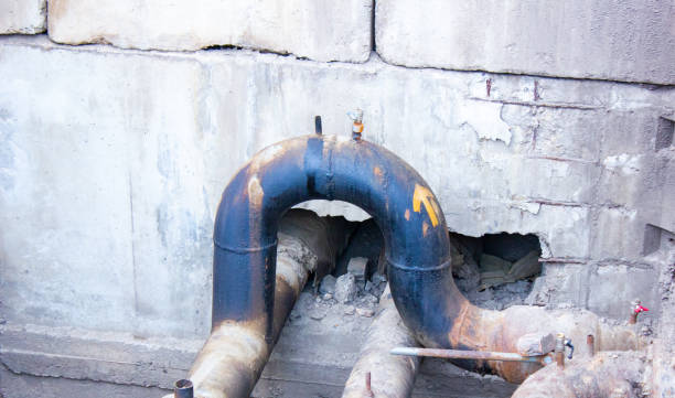 Best Mold removal after water damage  in Fairmont, IL